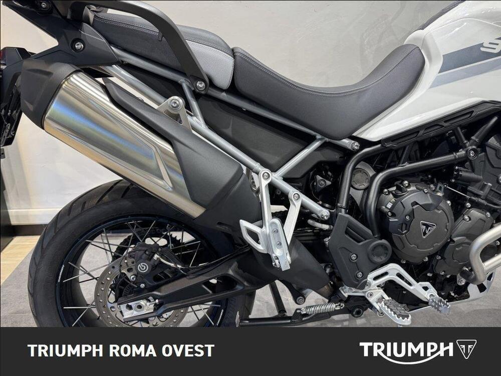 Triumph Tiger 900 Rally Pro (2020 - 23) (4)
