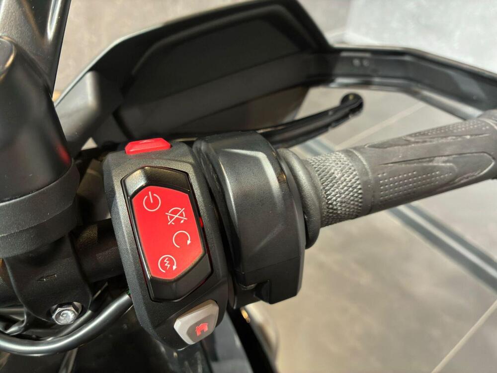 Triumph Tiger 1200 Rally Explorer (2022 - 23) (8)