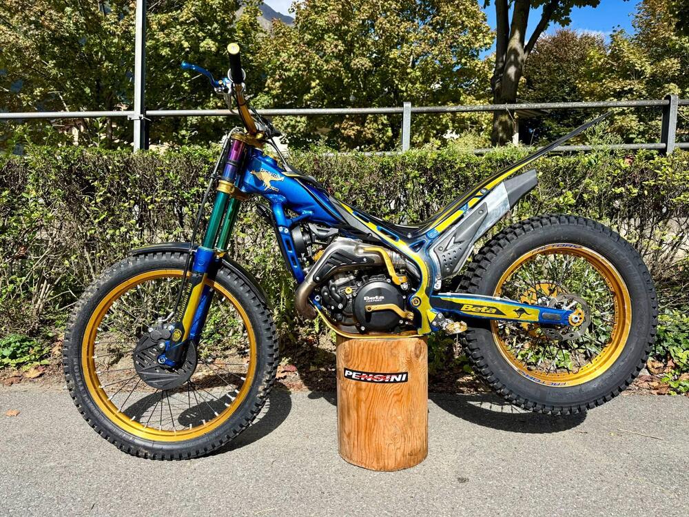 Betamotor Evo 300 2t Factory (2020) (5)