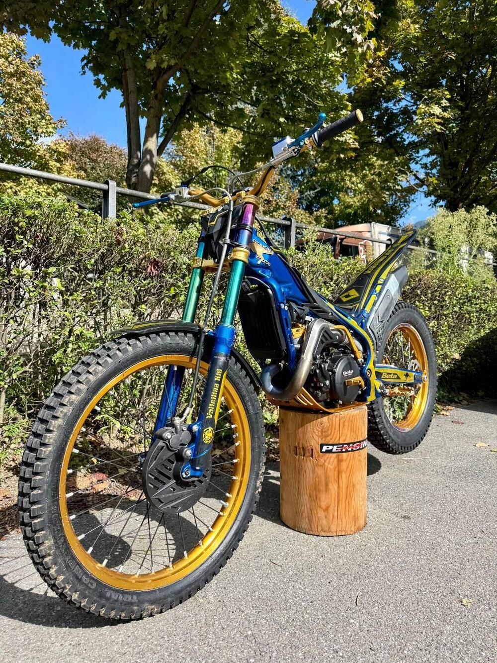 Betamotor Evo 300 2t Factory (2020) (6)