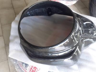 Cupolino carbonio Wunderlich GmbH