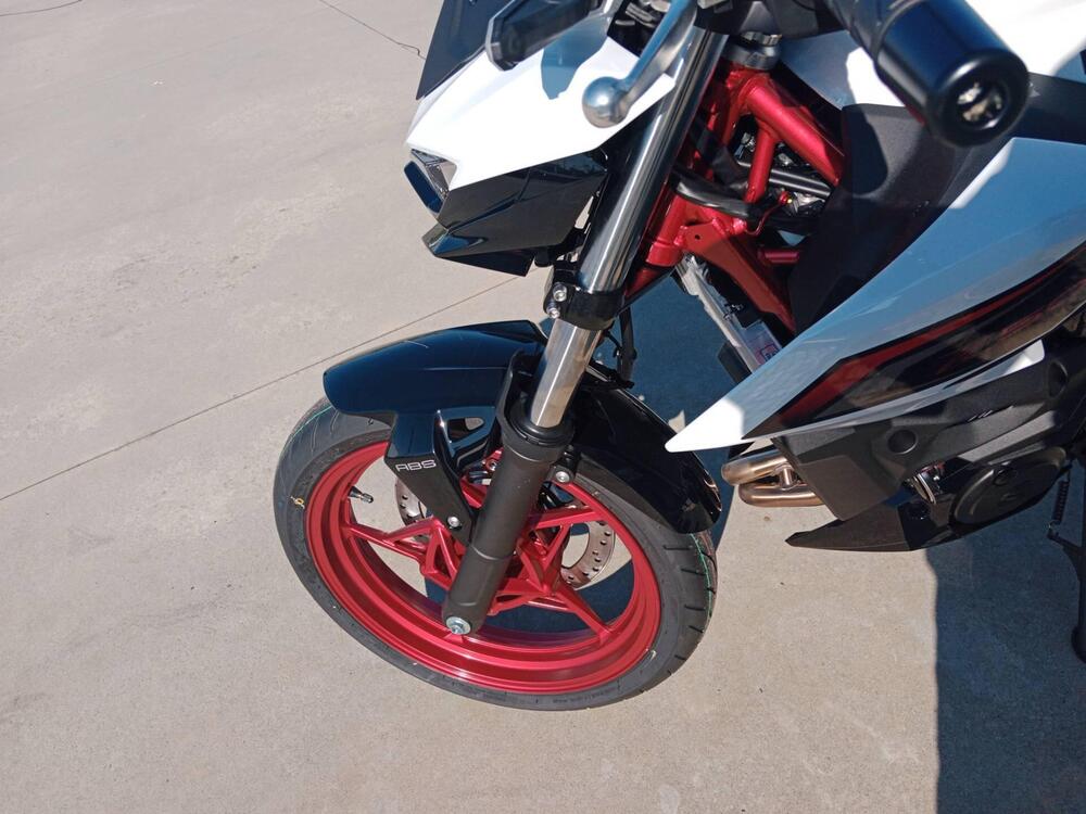 Kawasaki Z 500 SE (2024 - 26) (4)