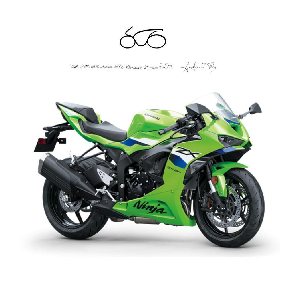 Kawasaki Ninja 636 ZX-6R (2024 - 26)