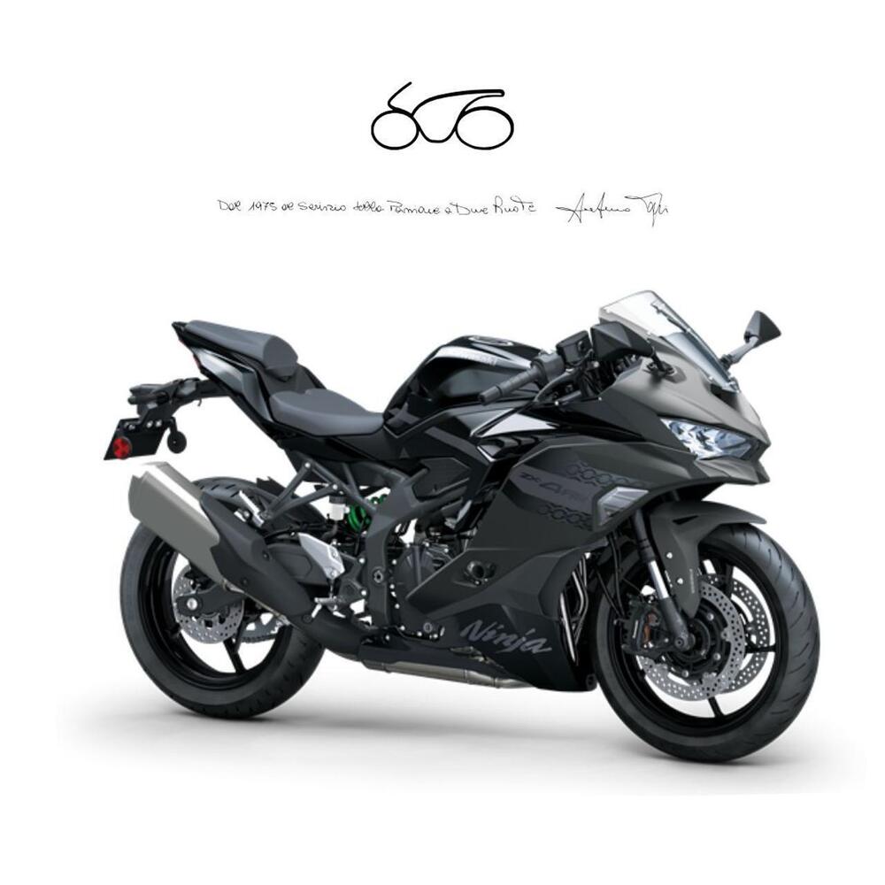Kawasaki Ninja ZX-4RR (2024 - 26)