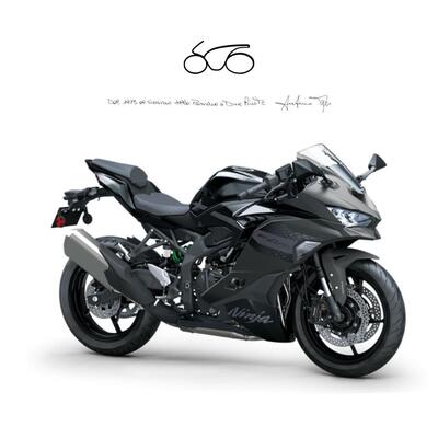Kawasaki Ninja ZX-4RR (2024 - 26) nuova