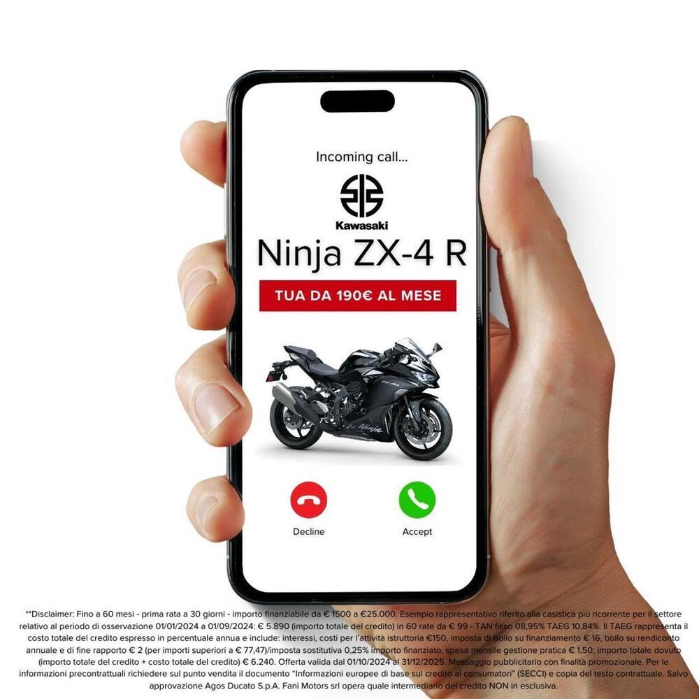 Kawasaki Ninja ZX-4R (2024 - 26) (3)