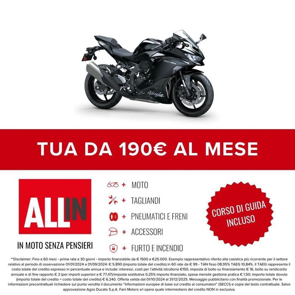 Kawasaki Ninja ZX-4R (2024 - 26) (2)