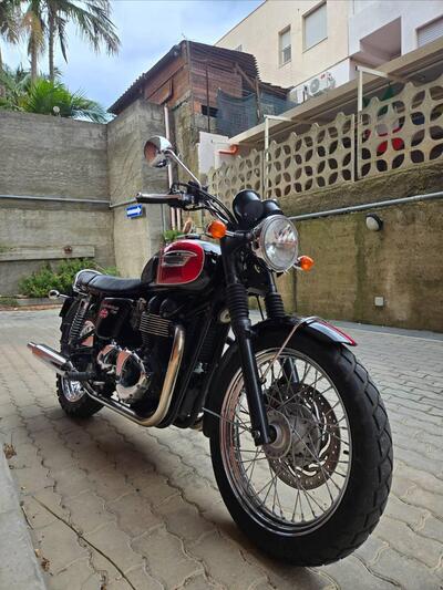 Triumph Bonneville T100 (2008 - 16) usata