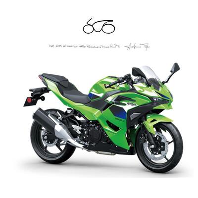 Kawasaki Ninja 500 SE (2024 - 26) nuova