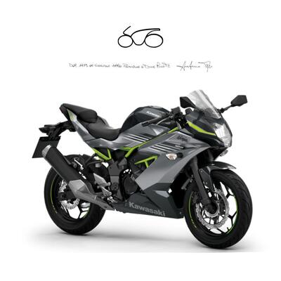 Kawasaki Ninja 125 (2025 - 26) nuova