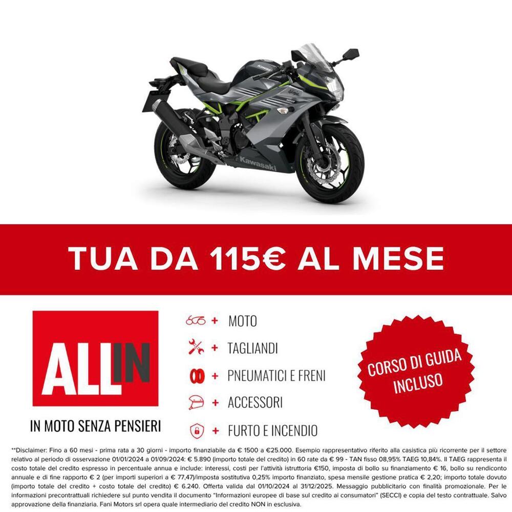 Kawasaki Ninja 125 (2025 - 26) (2)