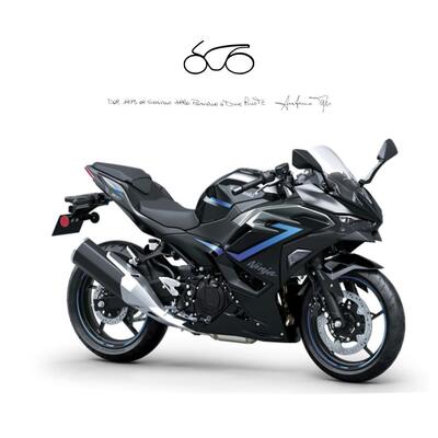 Kawasaki Ninja 500 SE (2024 - 26) nuova