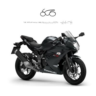 Kawasaki Ninja 125 (2025 - 26) nuova
