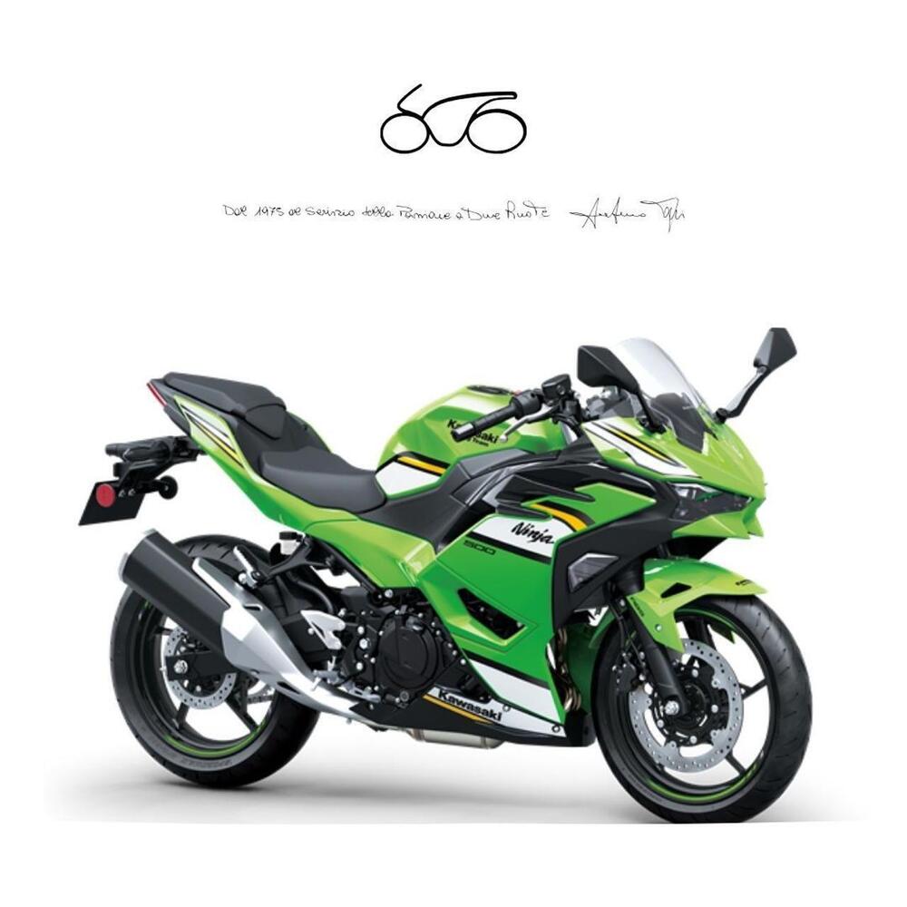 Kawasaki Ninja 500 SE (2024 - 26)