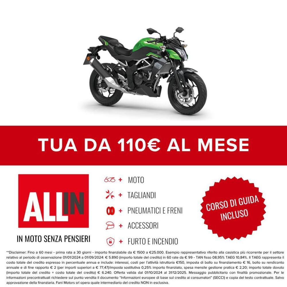 Kawasaki Z 125 (2025 - 26) (2)