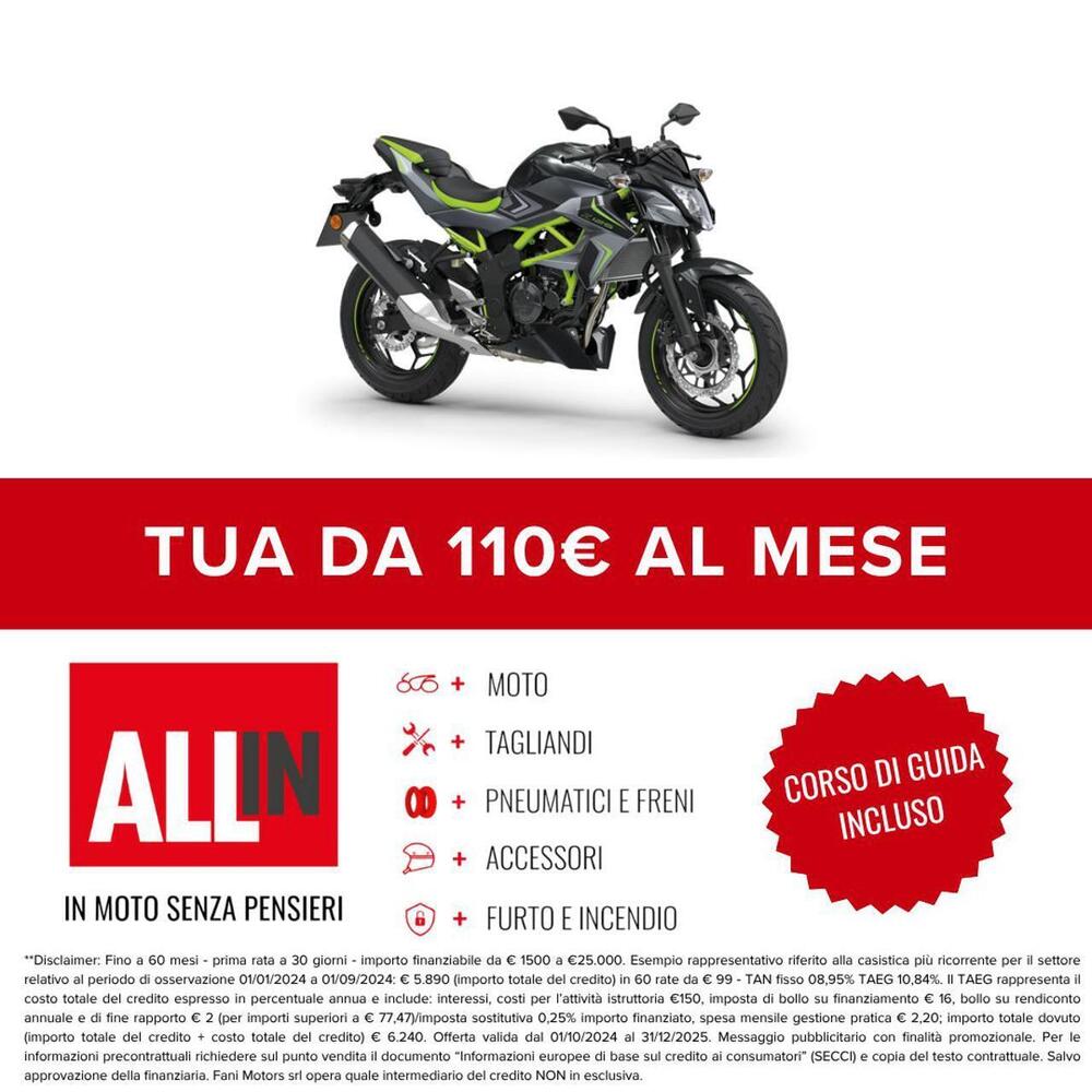 Kawasaki Z 125 (2025 - 26) (2)