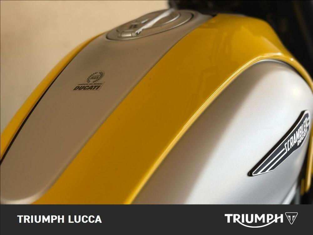 Ducati Scrambler 800 Icon (2023 - 24) (7)