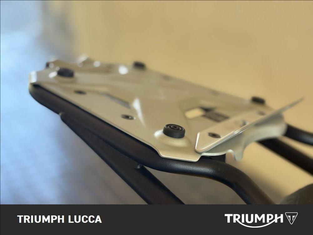 Ducati Scrambler 800 Icon (2023 - 24) (6)