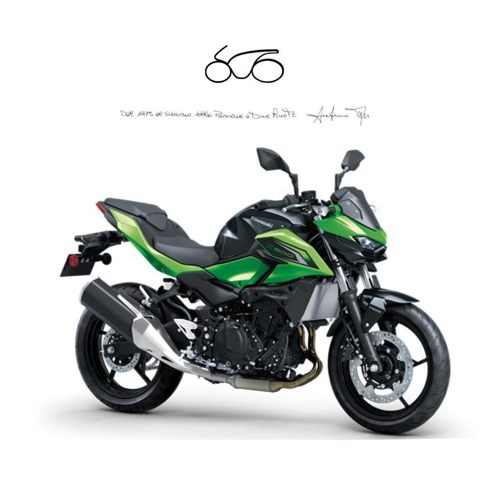 Kawasaki Z 500 (2024 - 26)