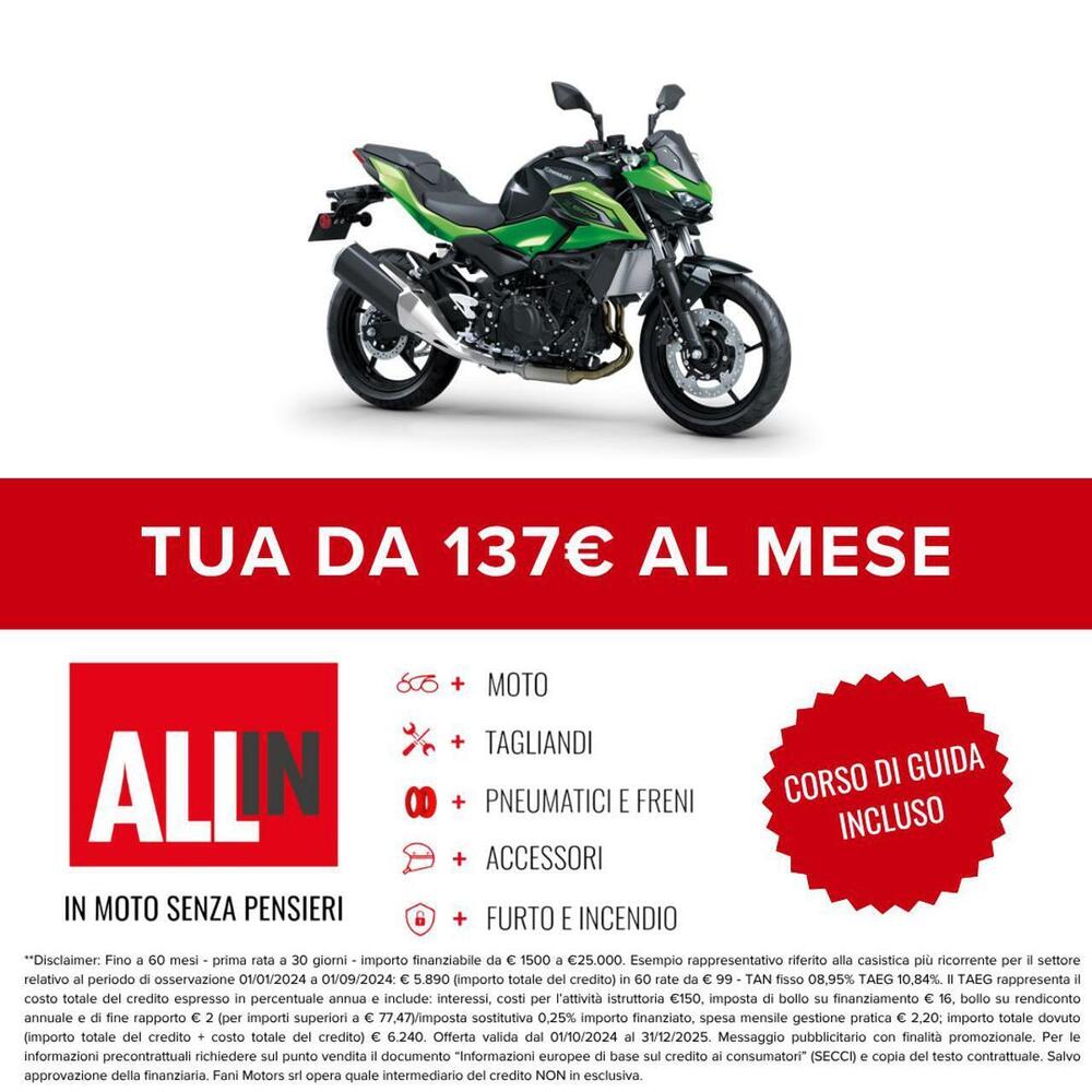 Kawasaki Z 500 (2024 - 26) (2)