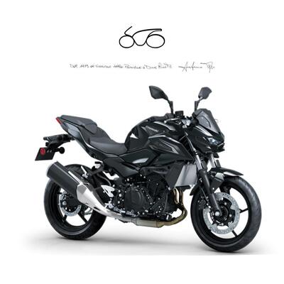Kawasaki Z 500 (2024 - 26) nuova