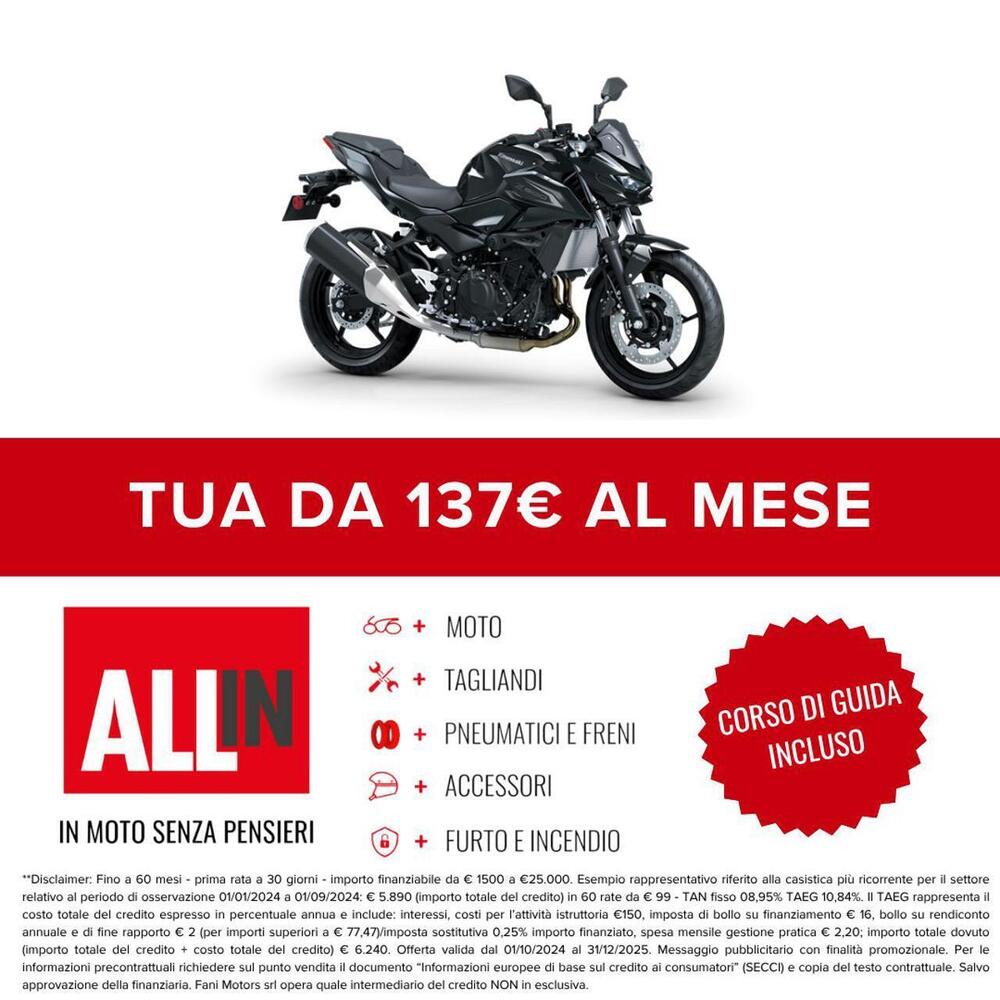 Kawasaki Z 500 (2024 - 26) (2)