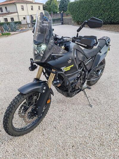 Yamaha T&eacute;n&eacute;r&eacute; 700 (2019 - 20) usata