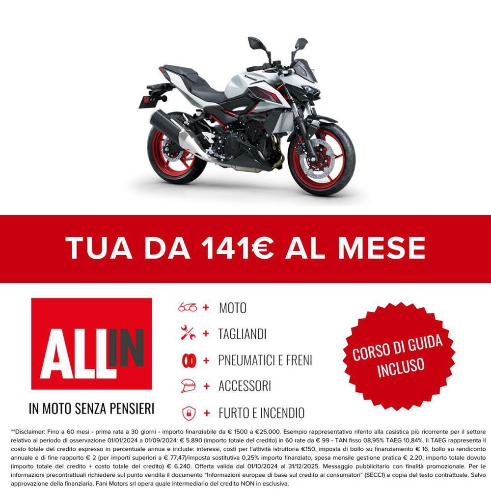 Kawasaki Z 500 SE (2024 - 26) (2)