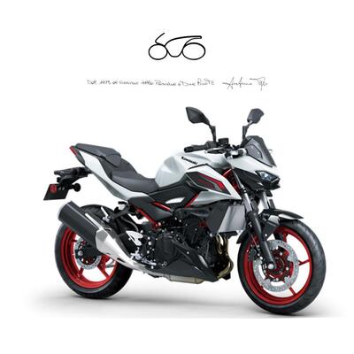 Kawasaki Z 500 SE (2024 - 26) nuova