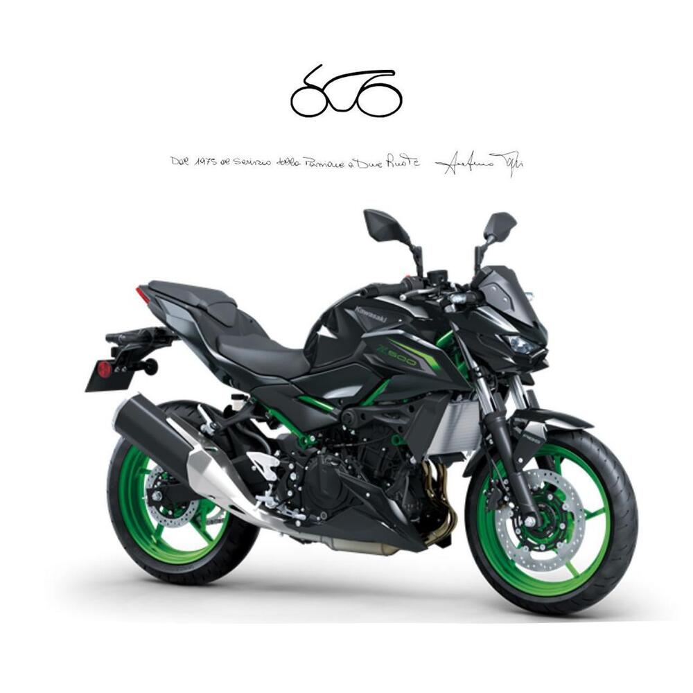 Kawasaki Z 500 SE (2024 - 26)