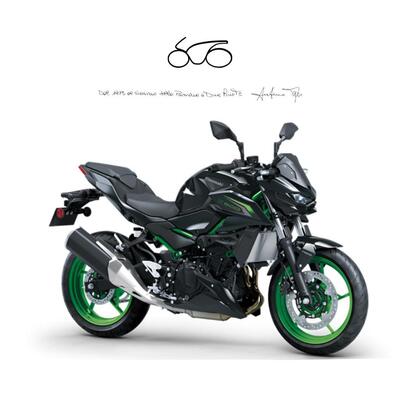 Kawasaki Z 500 SE (2024 - 26) nuova