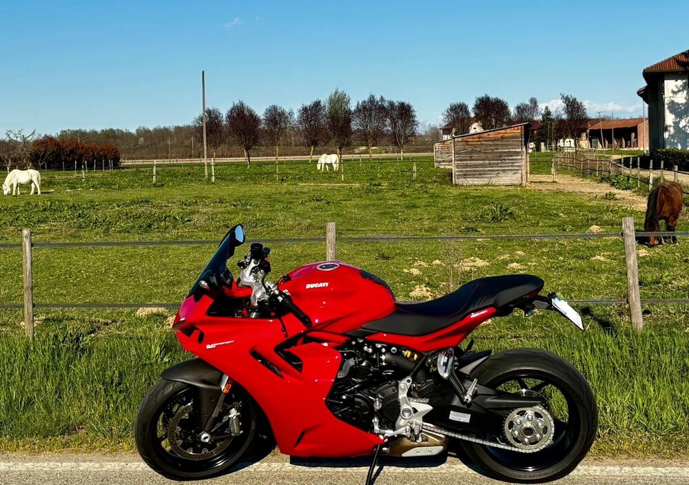 Ducati SuperSport 950 (2021 - 24) (3)