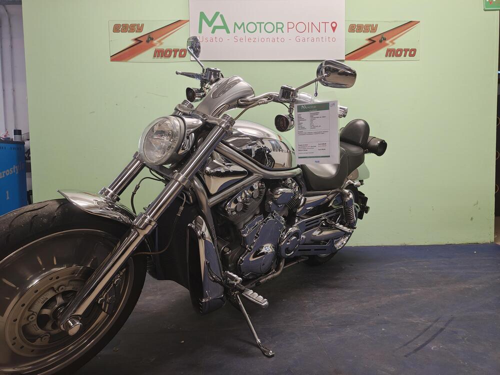 Harley-Davidson 1130 V-Rod (2002 - 05) - VRSCA (2)