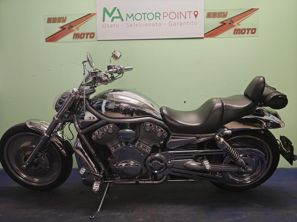 Harley-Davidson 1130 V-Rod (2002 - 05) - VRSCA (4)