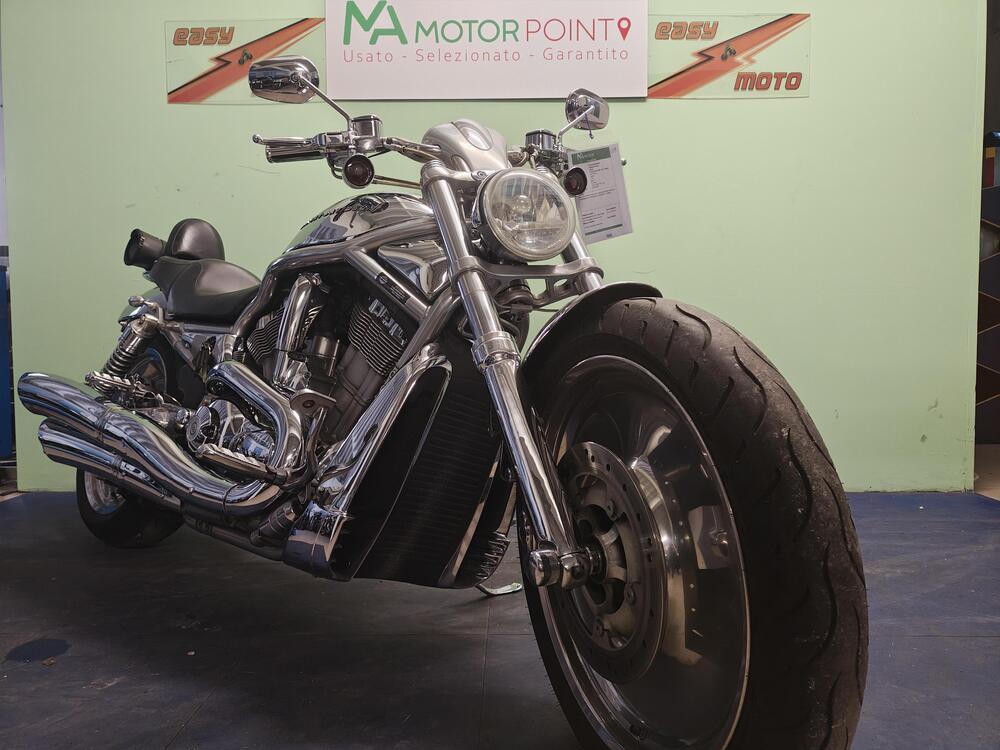 Harley-Davidson 1130 V-Rod (2002 - 05) - VRSCA (5)