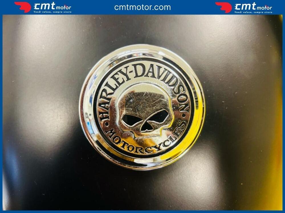 Harley-Davidson 883 Low (2006 - 07) - XL 883L (6)