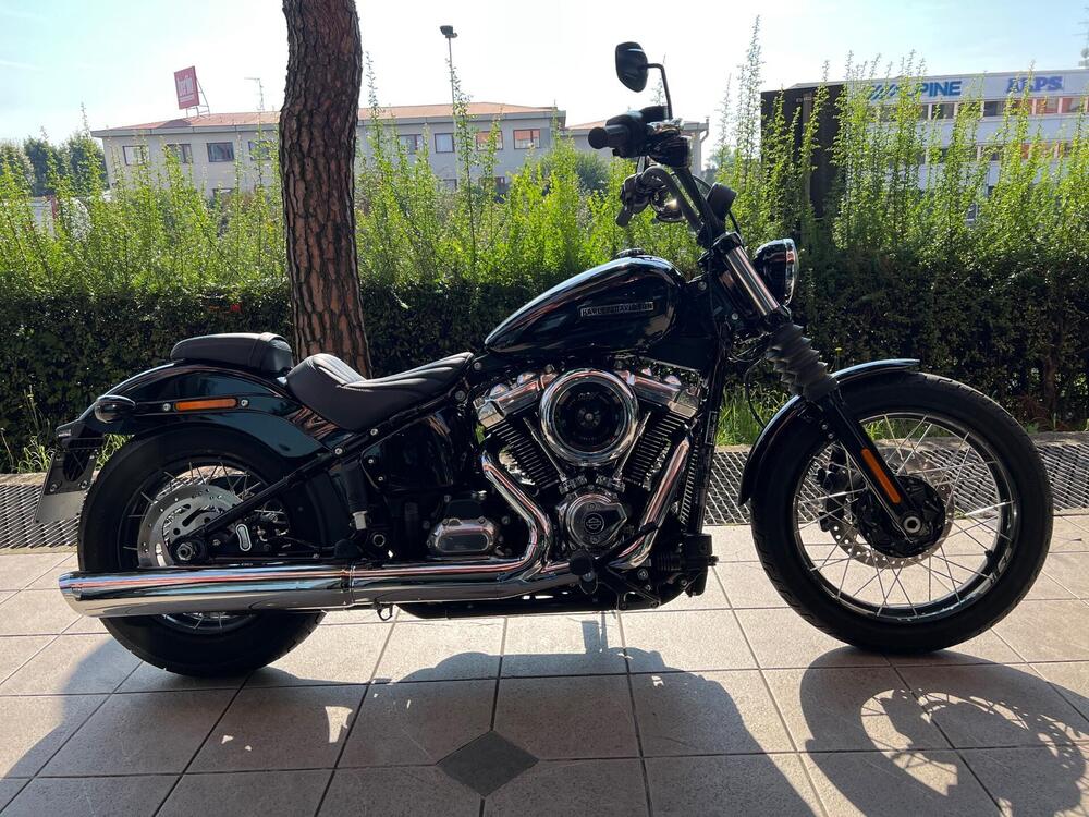 Harley-Davidson Street Bob 117 (2025 - 26) (2)
