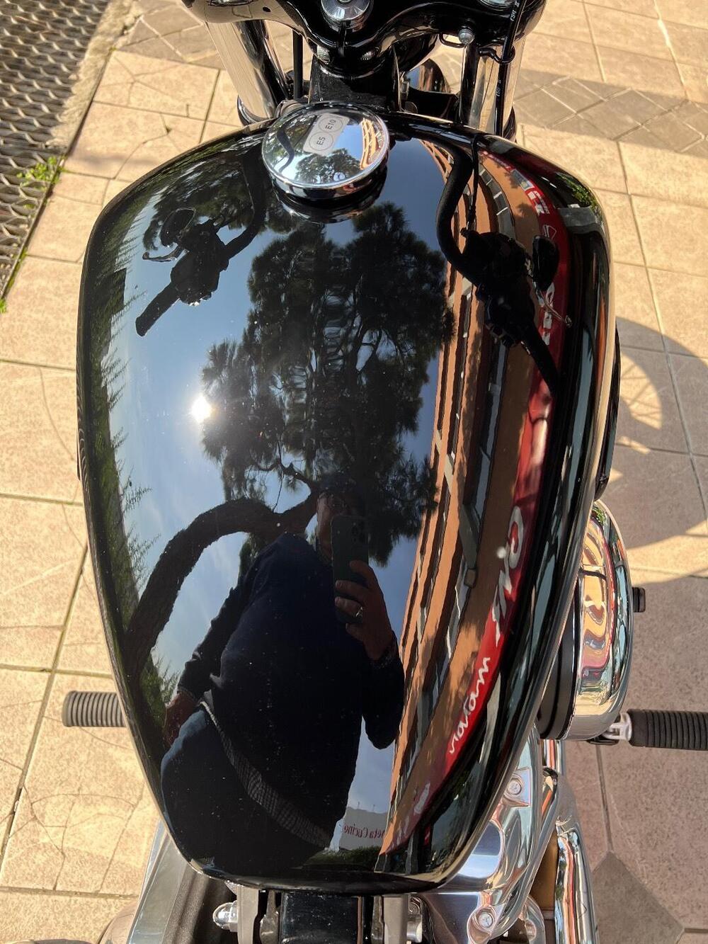 Harley-Davidson Street Bob 117 (2025 - 26) (7)