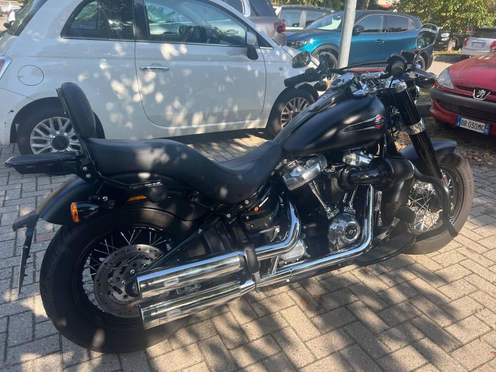 Harley-Davidson 107 Slim (2018 - 20) - FLSL (2)