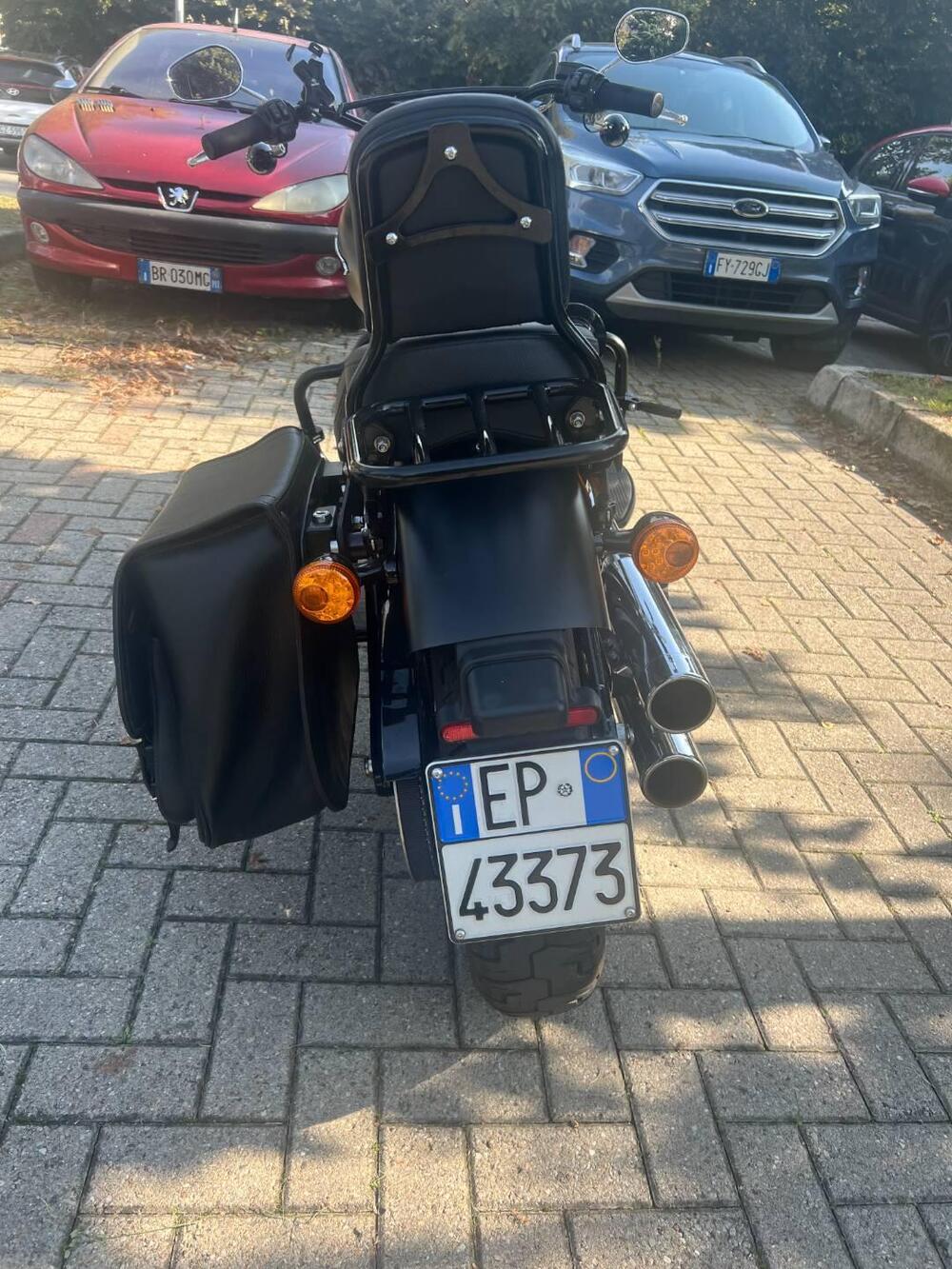 Harley-Davidson 107 Slim (2018 - 20) - FLSL (4)