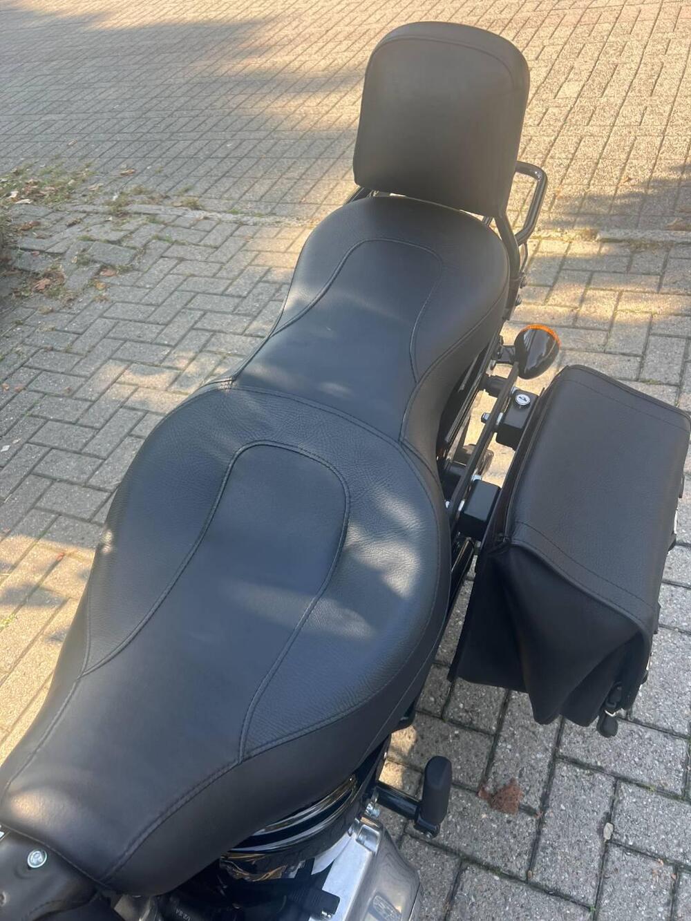 Harley-Davidson 107 Slim (2018 - 20) - FLSL (6)