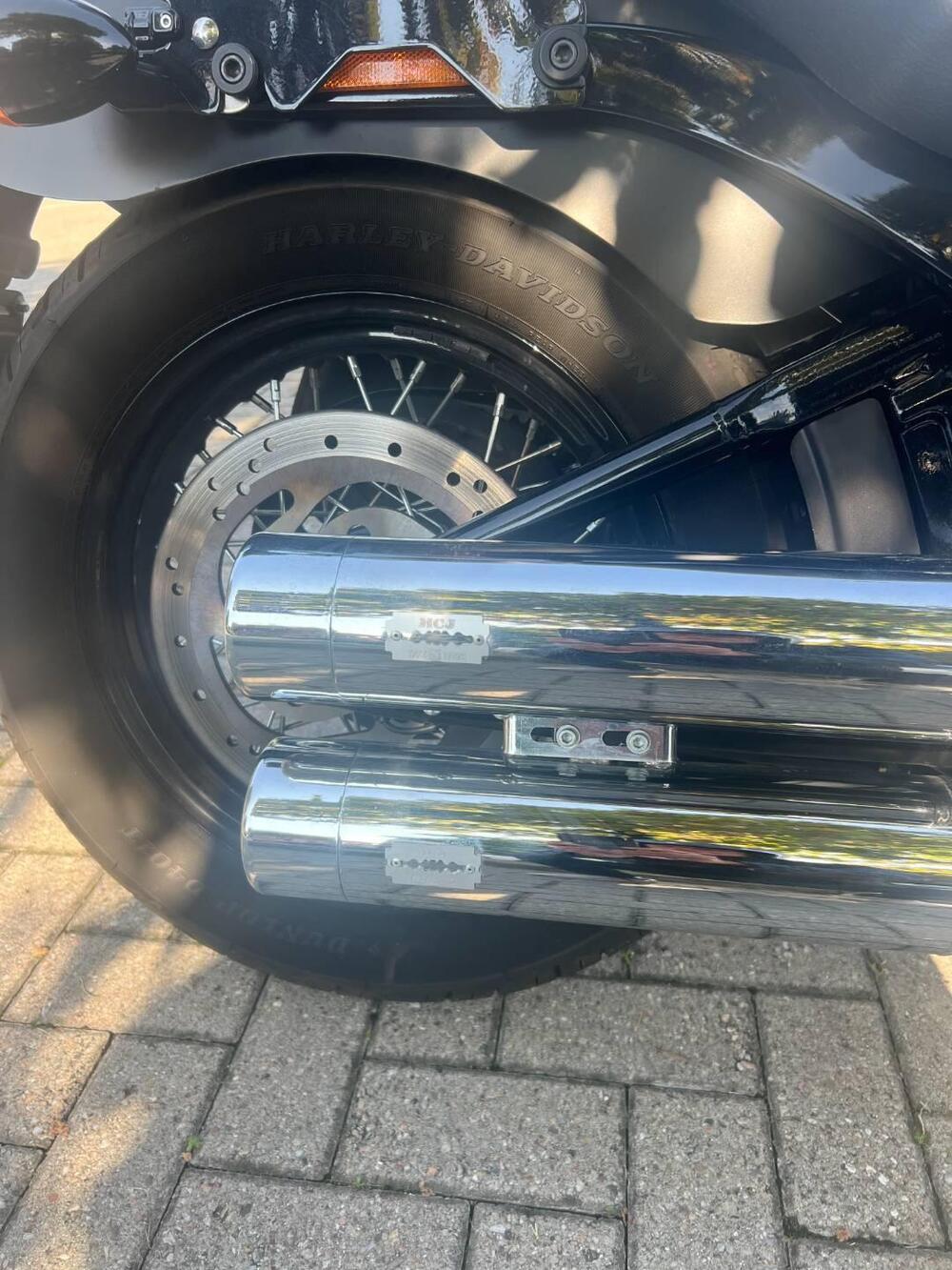 Harley-Davidson 107 Slim (2018 - 20) - FLSL (8)