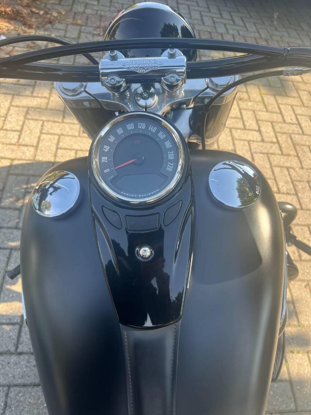Harley-Davidson 107 Slim (2018 - 20) - FLSL (10)