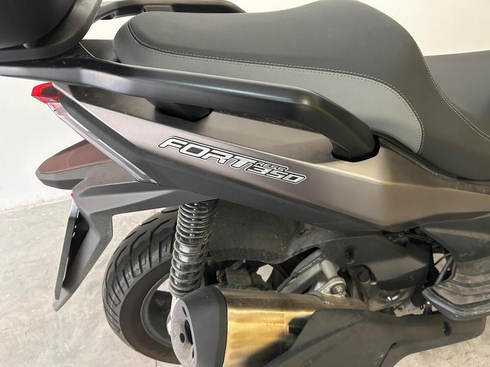 QJ Motor Fort 350 (2024) (12)