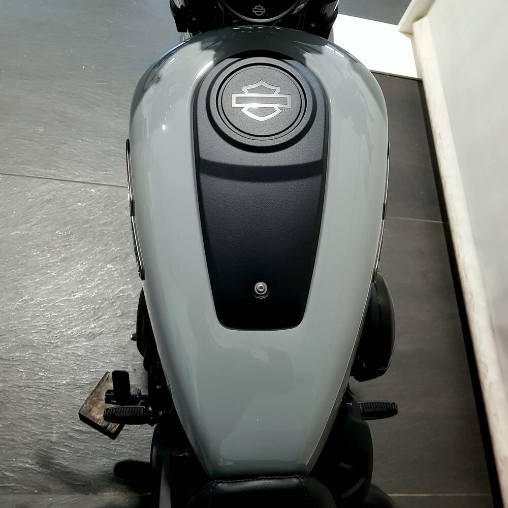 Harley-Davidson Nightster Special (2023 - 26) (6)