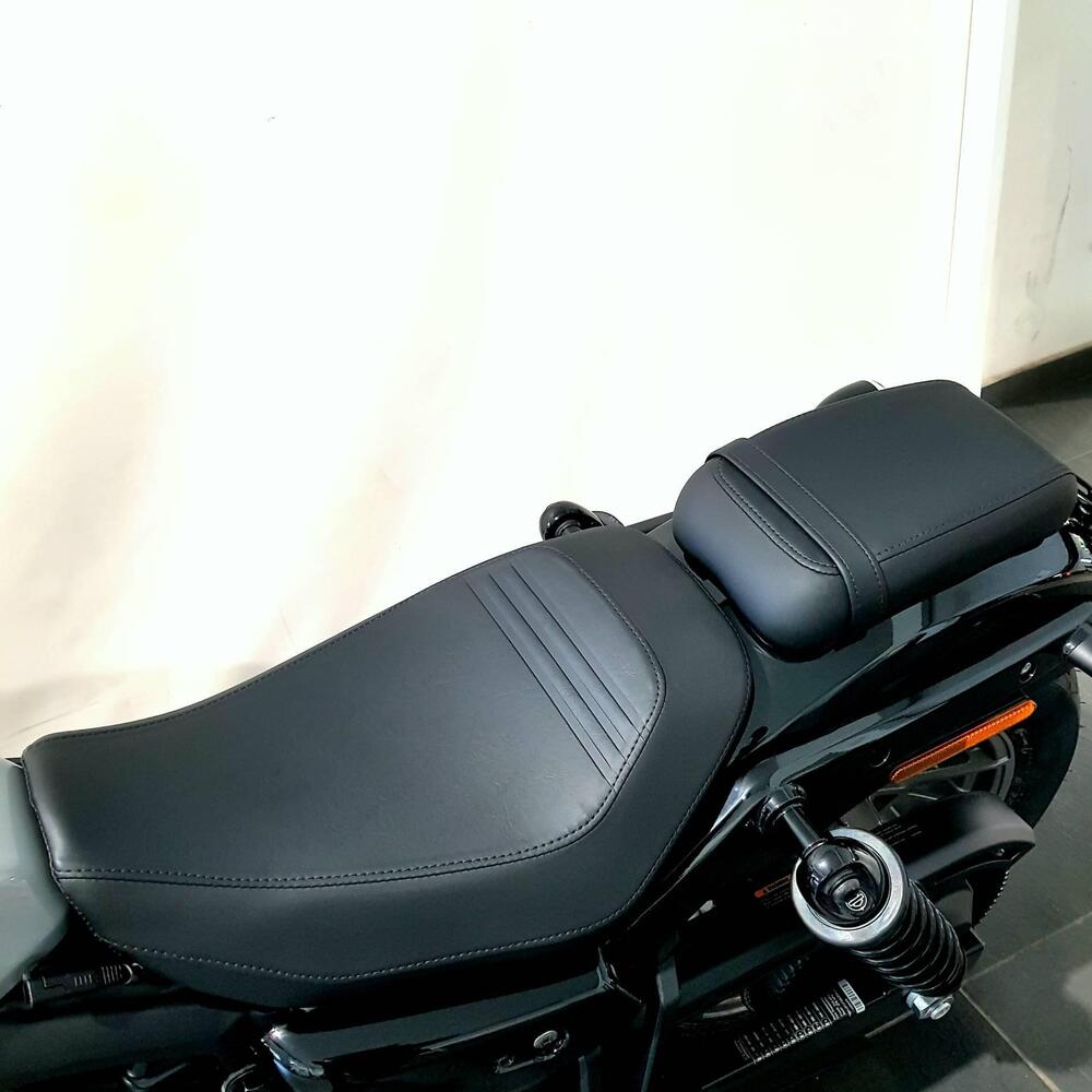 Harley-Davidson Nightster Special (2023 - 26) (7)