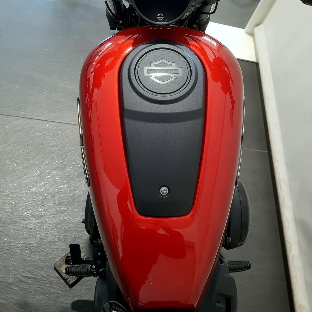 Harley-Davidson Nightster Special (2023 - 26) (6)