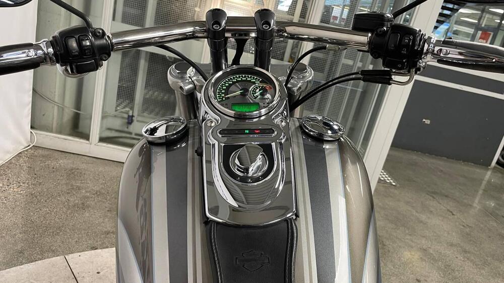 Harley-Davidson 1584 Fat Bob (2007 - 13) - FXDF (12)