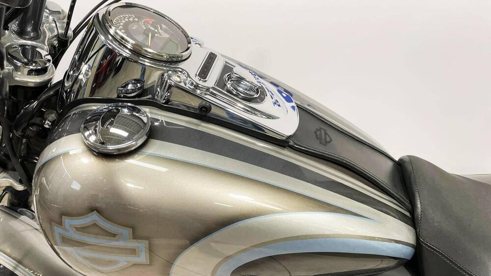 Harley-Davidson 1584 Fat Bob (2007 - 13) - FXDF (10)