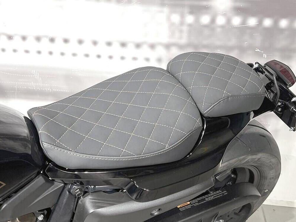 Harley-Davidson Sportster S (2022 - 24) (5)